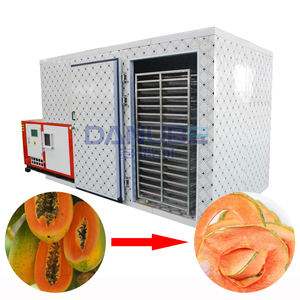 OEM Fruit Dehydrator Machine Papaya Drying Room Papaya Heated Drying Room Papaya Dehumidifier Processing Equipment - Product Image 1