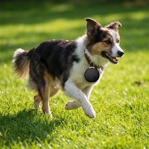 Traceur Premium <span class=keywords><strong>pour</strong></span> Chiens et Chats avec Traceur en Plastique Écologique et Design Fin et Léger <span class=keywords><strong>pour</strong></span> Chiens Chats Localisateur d'Animaux de Compagnie - Product Image 1