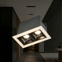 Lampe de grille encastrée carrée minimaliste noire avec bordure blanche à deux yeux pour éclairage intérieur de café et de magasin de détail