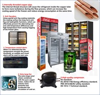 Refrigerador de Barril con Garantía de 5 Años, Entrega Global, Enfriador de Bebidas y Cerveza, Congelador, MOQ 1