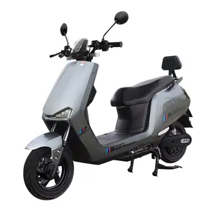 Customizable Dual Motor Scooter Electric Moped With Removable Battery Street Legal Electric Motorcycle Highspeed