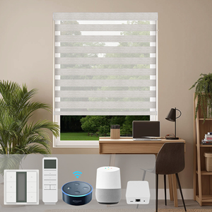 Persianas Zebra Simples Personalizadas SAMADHI para Oficina y Hogar, Persianas Enrollables Eléctricas para Ventanas Francesas - Product Image 1