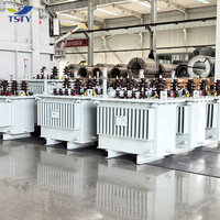 Transformadores Sumergidos en Aceite TSTY de 100KVA-1600KVA con Salidas de 400V 420V y Frecuencia de 60Hz para una Transmisión de Energía Eficiente