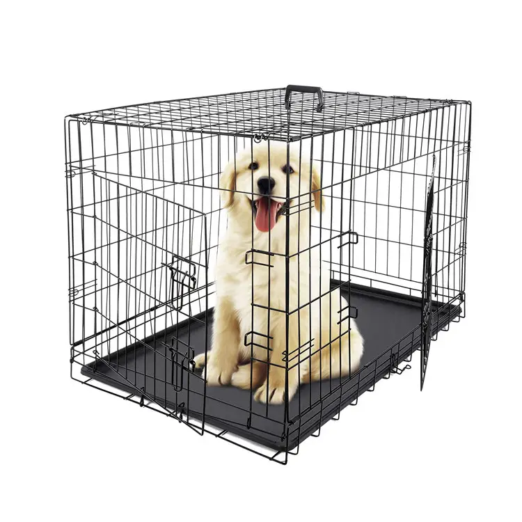 Lüks popüler altın siyah renk katlanabilir toz tavşan köpek egzersiz kalem kafesi ekstra güçlü köpek kafesi köpek kedi evcil