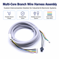 Câble personnalisé avec pas de 1,0 mm à 2,54 mm et connecteur à 2/3/4/5/6 broches, fil électrique et fiche femelle JST SH ZH PH XH pour l'électronique