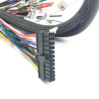 Pabrik Pabrik Kualitas Kustom Molex 24pin Konektor Kawat Harness 1/2 Kabel Perakitan
