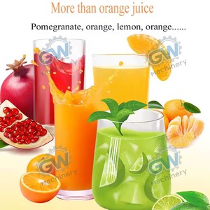<span class=keywords><strong>Extracteur</strong></span> de <span class=keywords><strong>jus</strong></span> automatique électrique pour citron, gingembre, raisin, carotte, canne à sucre, pomme, <span class=keywords><strong>orange</strong></span> - Product Image 2