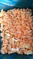 Segments d'orange pelés surgelés IQF, mandarine naturelle sucrée pour smoothies et pâtisseries, fruits sains en vrac