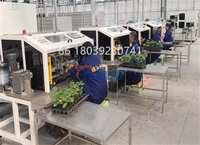 Machine à greffer les semis la plus vendue, équipement automatique de greffage de légumes pour tomates, concombres, pastèques, pépinières et serres