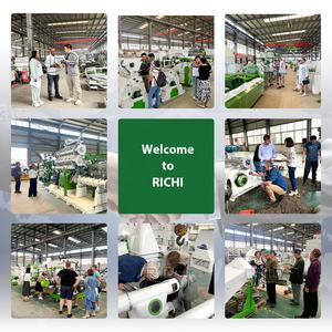 Usine de granulés de biocarburant européens RICHI, utilisation industrielle, rendement élevé 3-5 TPH, conception raisonnable, nouvelle ligne de production de granulés de bois avec CE ATEX - Product Image 5