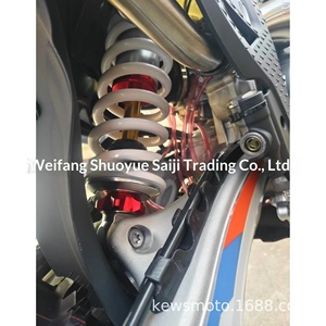 Moto tout-terrain de course haute performance Constant Ship S7 <span class=keywords><strong>Z300</strong></span> PRO, moteur deux temps 300cc, vitesse maximale 110 km/h, fabriquée en Chine, Lin Dao - Product Image 4
