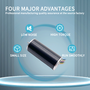 인기있는 라운드 12v 브러시리스 모터 16mm 고속 15000rpm Dc 24v <span class=keywords><strong>Bldc</strong></span> 코어리스 모터 - Product Image 2