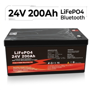 48v Lithium <b>Battery</b> Pack 8000+ Cycles <b>24v</b> 100ah 200ah 300ah Lifepo4 <b>Batteries</b> Smart Bms Bt 12v 300ah 400ah for Yacht - Product Image 2