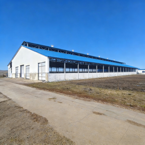 <span class=keywords><strong>Struttura</strong></span> Prefabbricata per Stalla di Mucche, Capannone per Bestiame <span class=keywords><strong>in</strong></span> <span class=keywords><strong>Acciaio</strong></span> - Product Image 3