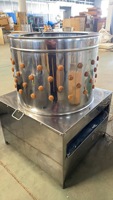 Machine à plumer automatique à haute efficacité pour l'élimination des poils et des plumes de volaille