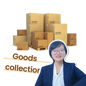 Shenzhen Guangzhou Shanghai Ningbo Tianjin Dalian Qingdao Xiamen Yiwu LCL + spedizione espressa economica in giappone dalla cina - Product Image 5