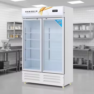 Vitrinas Refrigeradas y de Exhibición con Puerta de Vidrio Abierta para Supermercados y Tiendas de Conveniencia - Product Image 6