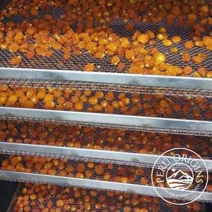 เส้นใยอาหารขายส่งคุณภาพสูงอินทรีย์ Physalis Peruviana,เบอร์รี่สีทองอบแห้ง - Product Image 5