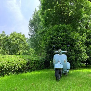 Moto électrique européenne en promotion 1200W 60V/72V – Scooter et moto - Product Image 5