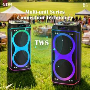 Altoparlante NDR-820 con Doppio Woofer da 8 Pollici, 40 Watt, Illuminazione RGB, Batteria Ricaricabile, Supporto Microfono Wireless per <span class=keywords><strong>Karaoke</strong></span>, Vendita Diretta dalla Fabbrica - Product Image 6