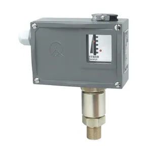 Tianxiang YTK-18H Pressure Switches 1~25 MPa Explosion-proof Pressure controller Switches for Air Water Oil