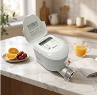 Compteur d'eau intelligent IoT en acier inoxydable à ultrasons avec vanne intégrée, prépayé à distance, M-Bus RS485 sans fil, haute précision pour eau purifiée