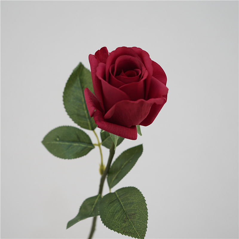 Rouge