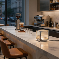 Lampe de table Aisilan Light Cube en verre chromé miroir haut de gamme pour chevet, salle à manger, café, avec interrupteur tactile