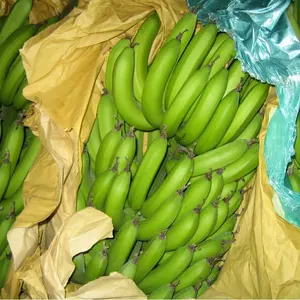 Banana Paper Bag For Fruit Growing Protection Exported To Middle America