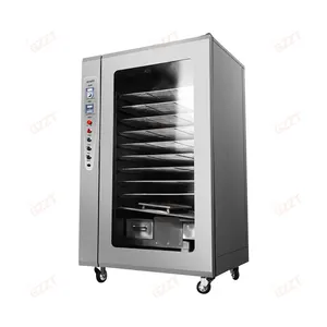 Multifunctional Intelligent timing Automatic Meat Smoker Machine Fish Smoking Oven Chicken Smokehouse Catfish Smoking Machine