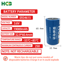 Batterie au lithium primaire HCB ER34615 3,6 V taille D haute capacité 19000 mAh pour compteurs d'eau/gaz/de débit intelligents et télécommandes