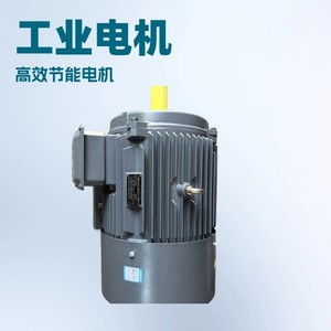 มอเตอร์สามเฟสแบบอะซิงโครนัส YE2 YE4 Y2 Y YE3-180L-6-15KW6 โพล 6 ขั้ว - Product Image 4