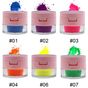 6 Kleur Hoge Pigmenten Losse Poeder Neon Oogschaduw Uw Eigen Merk