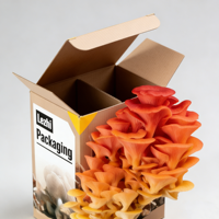 Boîte d'emballage personnalisée pour kit de culture de champignons, vente en gros à bas prix, avec poignée, étanche, pour kit de champignons frais, en papier kraft