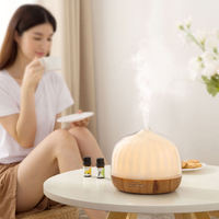 Avec Night Light Mist Aromatherapy Essential Oil Air Fragrance Scent Humidifier Aroma Diffuser