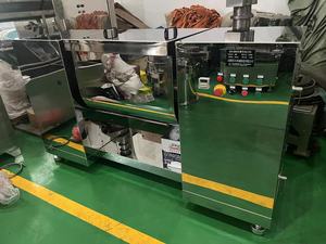 Mélangeur de type bac horizontal CH-200 - Product Image 6