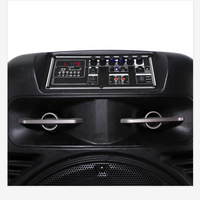 Altavoz de Karaoke de 150 Vatios con Supergraves, Sistema de Altavoces PA Activo de Doble Altavoz de 15 Pulgadas, Altavoz Recargable de Gran Potencia con Carro para Exteriores