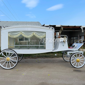 Elegante Carroza Fúnebre de Color Personalizado en Venta, Último Modelo de Carroza Tirada por Caballos, Estilo Moderno, Color Personalizado - Product Image 3