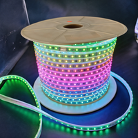 Bande lumineuse LED néon flexible DC24V en PVC, étanche IP68, télécommande, puce Epistar, Ra85, durée de vie de 50 000 heures, 60 lumières/m