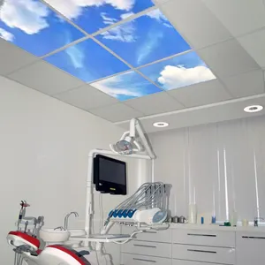 Jiaxing Jingliang Te Koop Plafond Ingebed 600*600 Kunstmatige Dakraam Led Sky Light 2*4 Commerciële Verlichting Led Sky Panel Licht