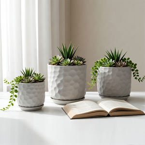 Jardinières d'intérieur modernes de haute qualité, pots en céramique pour plantes succulentes, décoration de jardin de bureau, pots à fleurs - Product Image 4