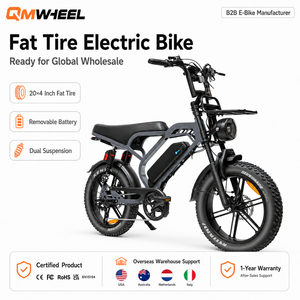 Bicicleta eléctrica de montaña QMWHEEL V20Limited 48V, bicicleta eléctrica todoterreno para adultos con neumáticos gruesos, venta al por mayor de fábrica, stock disponible. - Product Image 1