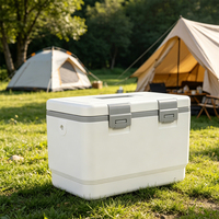 Mini glacière isotherme 5L pour usage personnel en extérieur