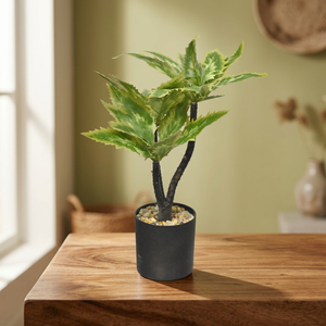 Succulente artificielle tropicale variegée en pot, 24 cm - Product Image 2