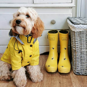 Popular Fashion Brand <b>Dog</b> <b>Raincoat</b> Retro British Style Thickened Pet Jacket Windproof and Rainproof - Product Image 1