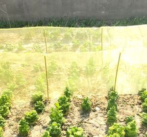 Malla Protectora <span class=keywords><strong>para</strong></span> Jardín, Anti-Insectos, <span class=keywords><strong>para</strong></span> Verduras, Frutas y Plantas, Protege de Pájaros e Insectos, Reutilizable y Transpirable - Product Image 1