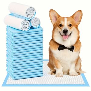 2026 Vente en gros usine de tapis absorbants jetables pour l'apprentissage de la propreté des chiens, Fournitures pour animaux de compagnie - Product Image 1
