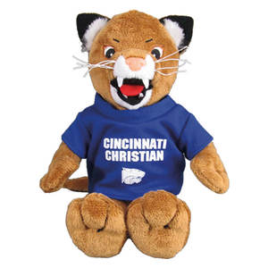 Fabricante de Osos de Peluche Personalizados con MOQ Bajo, Rellenos de Algodón PP, con Camiseta con Logotipo de la Empresa, para Regalos Corporativos - Product Image 3