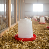 Vente en gros d'abreuvoirs et mangeoires pour volailles de 0,6 L, 1,0 L, 1,3 L, 2,5 L, 4 L, 6,5 L, 12 L, abreuvoir pour poulets, abreuvoir pour volailles, élevage de volailles
