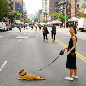 3 In 1 Dog Leash With Water Bottle And Collapsible Bowl For Outdoor Pet Use Blue - Product Image 2